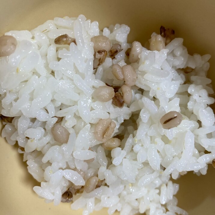 簡単炊飯　もち麦ご飯